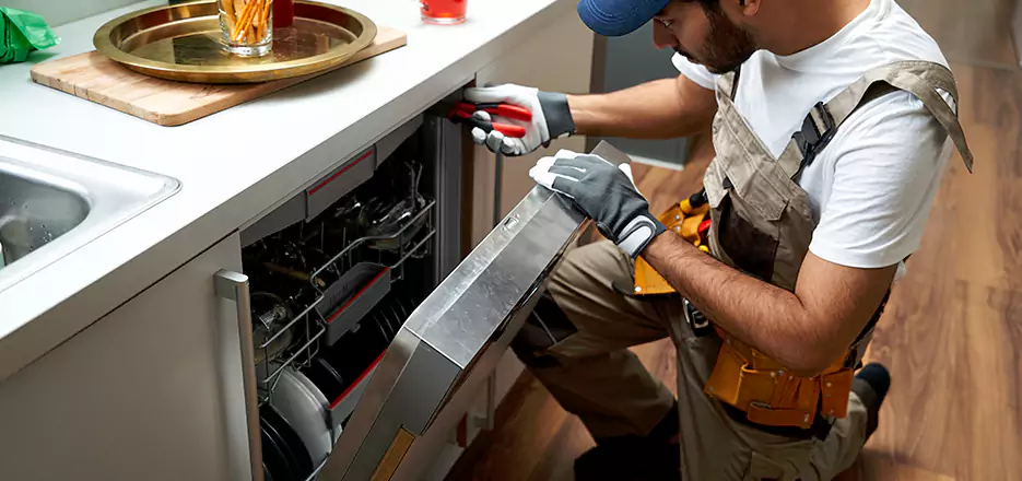 Same Day Dishwasher Not Draining Repair in Imperial Beach
